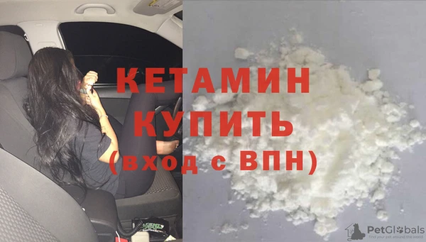 соль ск Дмитриев