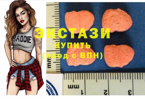герыч Кедровый